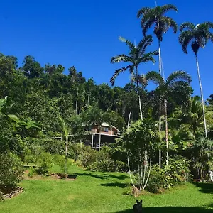 https://a-daintree-garden.queenslandhotels.net